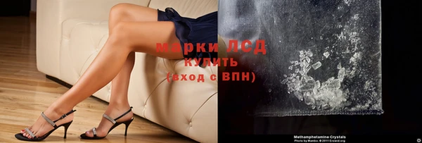 стаф Баксан